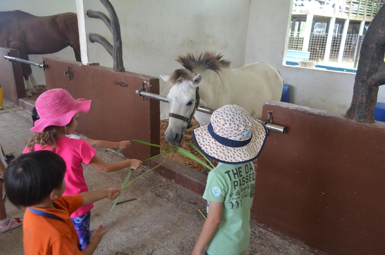 Sinar Eco Resort Kampong Bukit Panjang Ngoại thất bức ảnh
