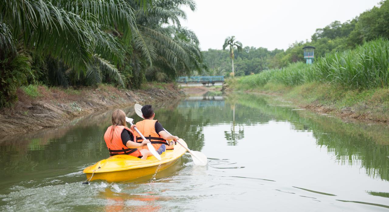 Sinar Eco Resort Kampong Bukit Panjang Ngoại thất bức ảnh