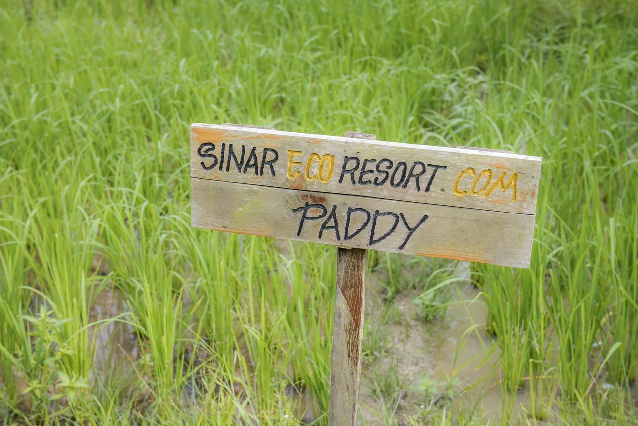 Sinar Eco Resort Kampong Bukit Panjang Ngoại thất bức ảnh